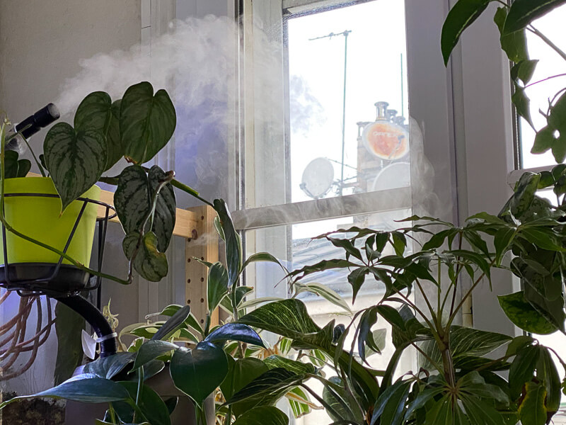 Brume pour humidifier l'air ambiant, hygrométrie, plantes d'intérieur, Paris 19e (75)