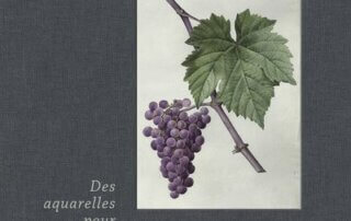 Les raisins de Pierre-Joseph Redouté. Jean-michel Boursiquot, Éditions Paulsen, novembre 2021.