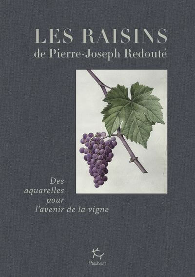 Lire la suite à propos de l’article Les raisins de Pierre-Joseph Redouté