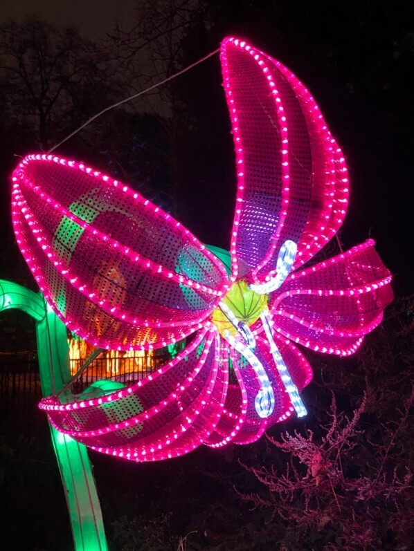 Fleur, illuminations, Jardin des Plantes, Paris 5e (75)