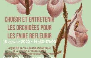 webinaire de la SNHF : Choisir et entretenir les orchidées, janvier 2022