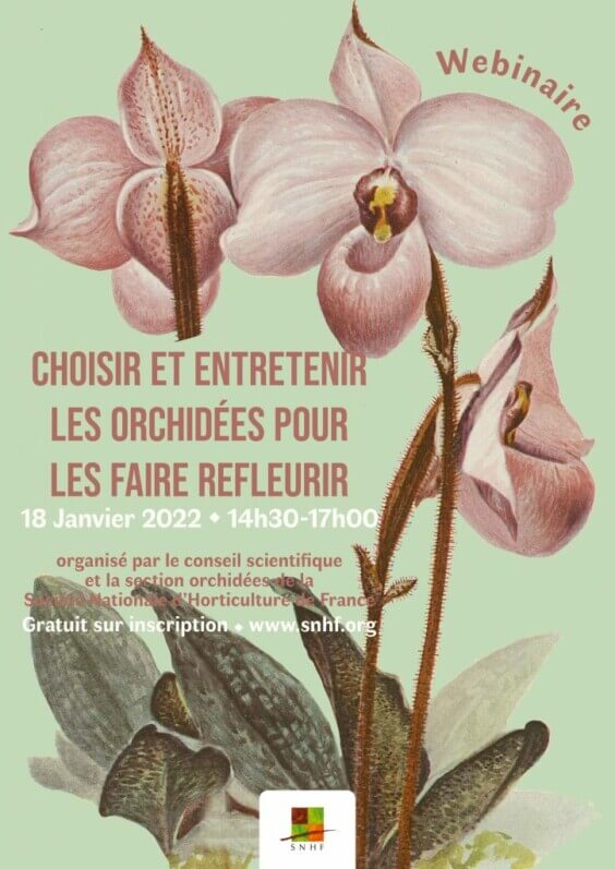 webinaire de la SNHF : Choisir et entretenir les orchidées, janvier 2022