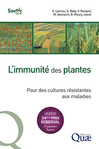 Lire la suite à propos de l’article L‘immunité des plantes