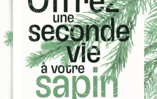 Affiche de l'opération "Offrez une seconde vie à votre sapin", Ville de Paris, janvier 2022