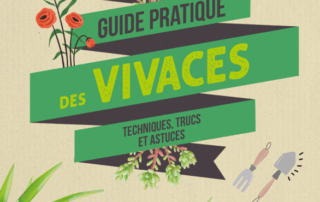 Guide pratique des vivaces. Sandra Lefrançois, Éditions Massin, février 2022.
