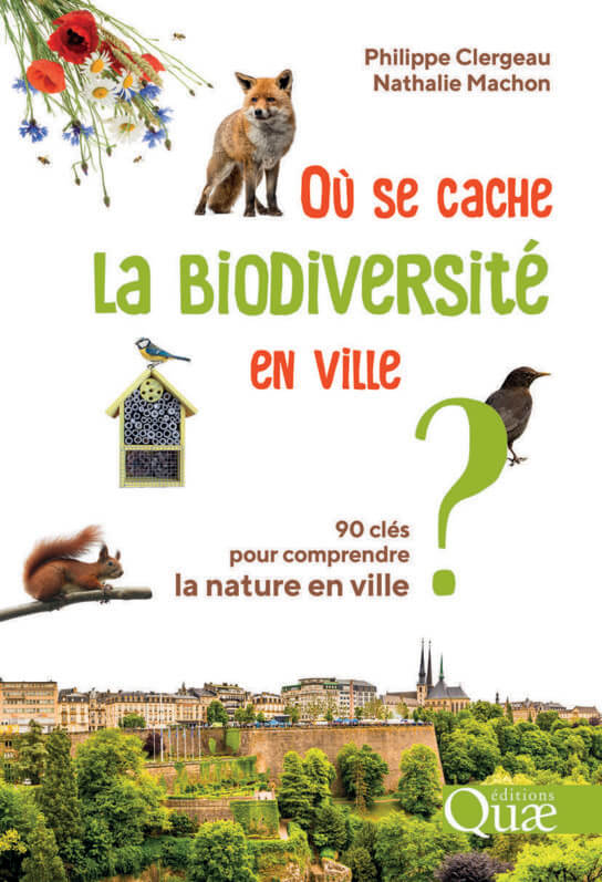 Lire la suite à propos de l’article Où se cache la biodiversité en ville ? 90 clés pour comprendre la nature en ville