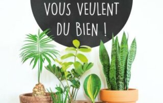 Vos plantes d’intérieur vous veulent du bien ! David Domoney, Éditions Larousse, février 2022.