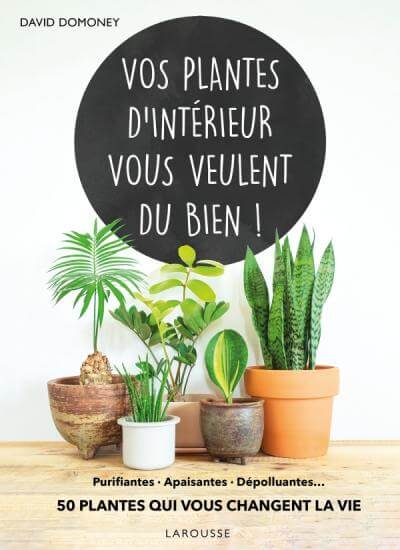 Lire la suite à propos de l’article Vos plantes d’intérieur vous veulent du bien !