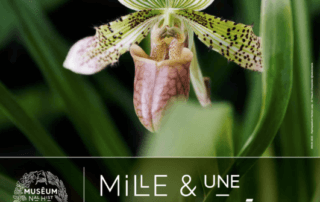 Mille & une orchidées, exposition florale du 23 février au 21 mars 2022