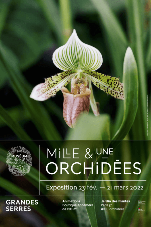Mille & une orchidées, exposition florale du 23 février au 21 mars 2022