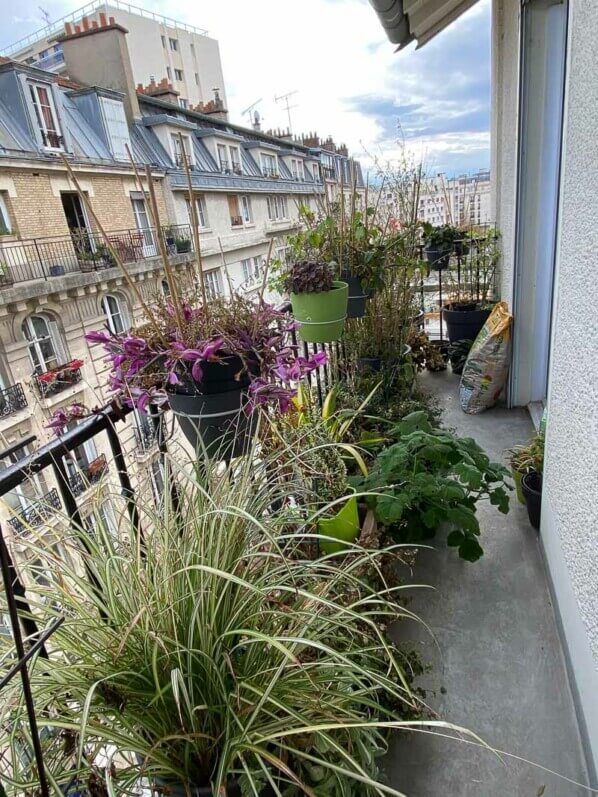 En fin d'hiver sur mon balcon parisien, Paris 19e (75)