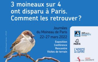 Journées du moineau de Paris, LPO Île-de-France, mars 2022