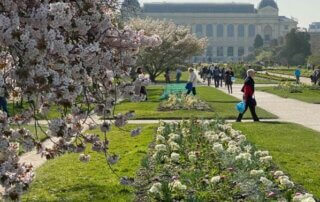 Au début du printemps dans la grande perspective du Jardin des Plantes, Paris 5ème (75)