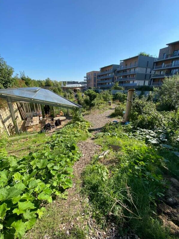 Ferme de Nature et Découvertes, Versailles (78)