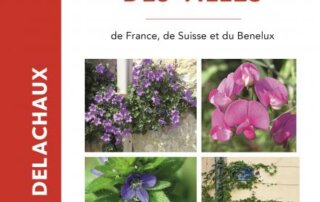 Flore des villes. Vincent Albouy, Éditions Delachaux et Niestlé, avril 2022.