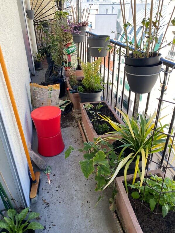 Jardinage et plantations au printemps sur mon balcon parisien, Paris 19e (75)