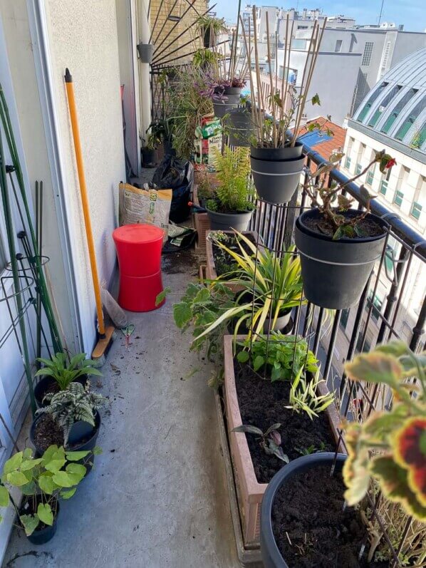 Jardinage et plantations au printemps sur mon balcon parisien, Paris 19e (75)