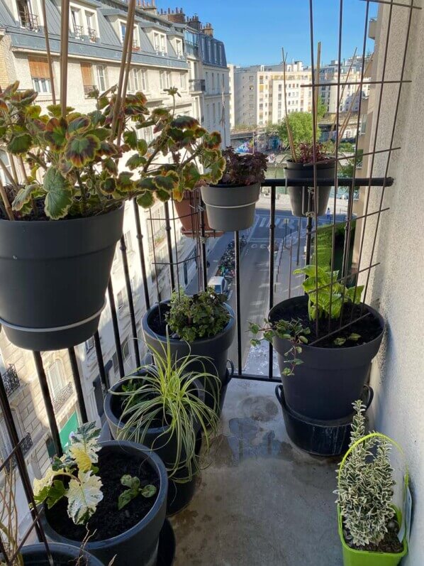 Au printemps sur mon balcon parisien, Paris 19e (75)