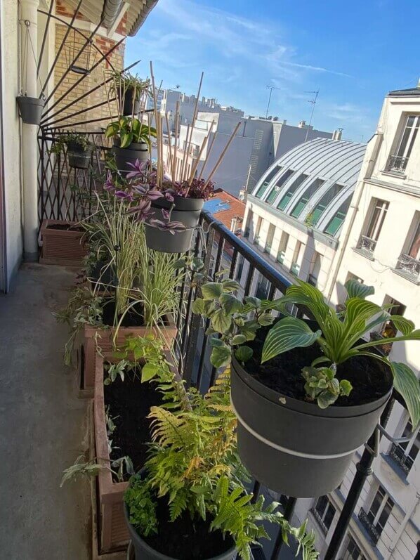 Au printemps sur mon balcon parisien, Paris 19e (75)