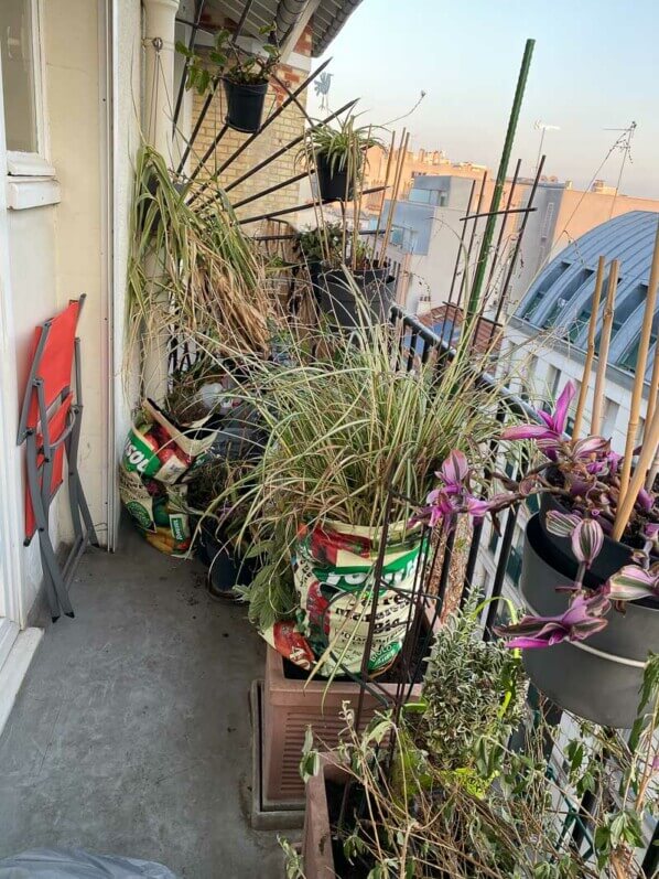 Plantes prêtes à planter en fin d'hiver sur mon balcon parisien, Paris 19e (75)