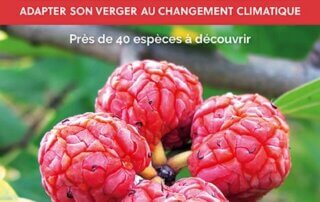 Un jardin fruitier pour demain. Adapter son verger au changement climatique. Robert Kran, Perrine Dupont, Éditions Terre Vivante, mars 2022.