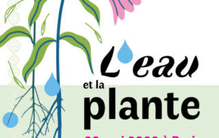 L'eau et la plante, colloque scientifique de la SNHF vendredi 20 mai 2022