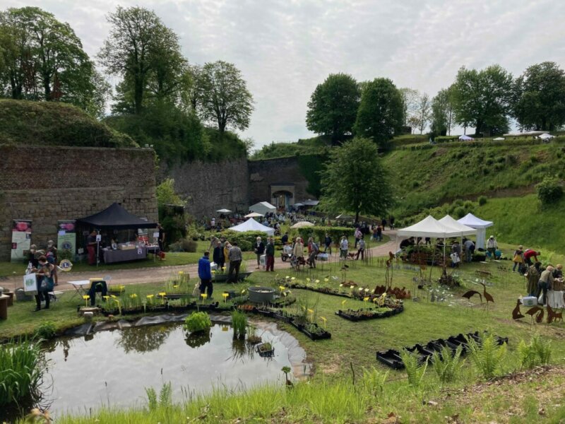 Doullens, fête des plantes 2021, Photo © Amand Berteigne