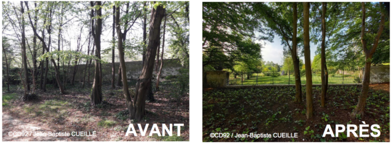 Jardin de l'Aigle Blanc réaménagé, Châtenay-Malabry, Hauts-de-Seine