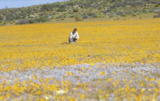 L'abominable mystère des fleurs, documentaire Science grand format, France 5, jeudi 19 mai 2022