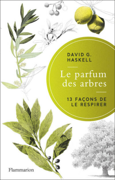 Le parfum des arbres. [Thirteen Ways to Smell a Tree] 13 façons de le respirer. David G. Haskell, Illustrations Valentine Plessy, traduction (Anglais) Eva Roques, Flammarion, mai 2022.