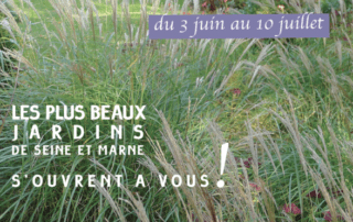 Du 3 juin au 10 juillet 2022, les plus beaux Jardins de Seine-et-Marne s'ouvrent à vous !