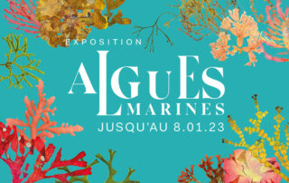 Affiche Algues marines, Aquarium, Palais de la Porte Dorée, Paris, 2022