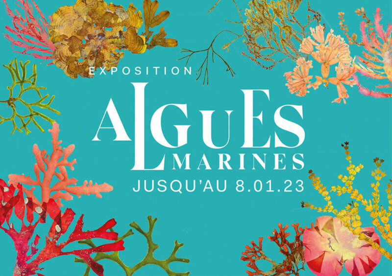 Affiche Algues marines, Aquarium, Palais de la Porte Dorée, Paris, 2022
