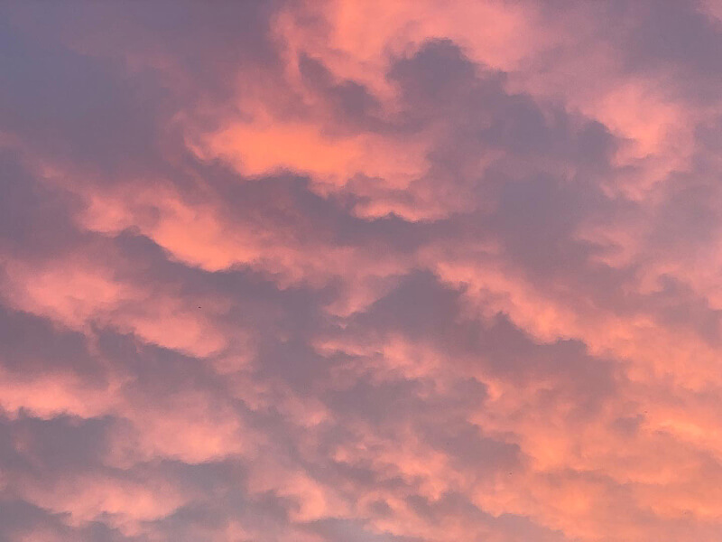 Ciel avec des nuages pommelés roses au petit matin, Paris 19ème (75)