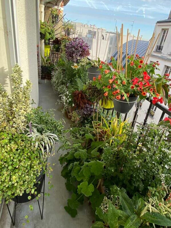 Lire la suite à propos de l’article 40°C sur mon balcon, 31°C dans l’appartement