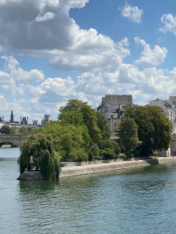 Square du Vert-Galant, Île de la Cité, La Seine en été, Paris (75)