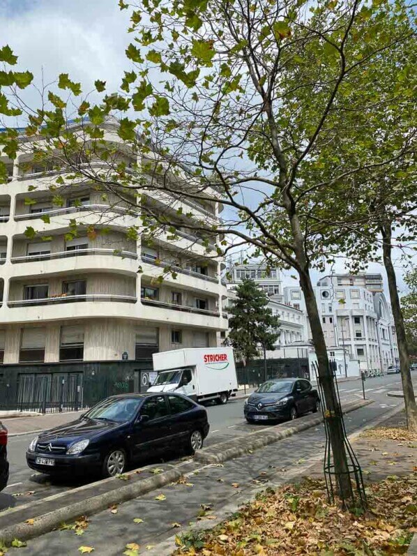 Platane sans feuilles en été dans le boulevard Richard Lenoir, Paris 11e (75)