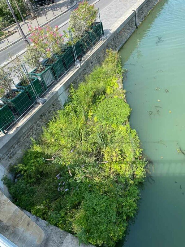 Radeau végétalisé dans le deuxième bassin du Bassin de la Villette, Paris 19ème (75)