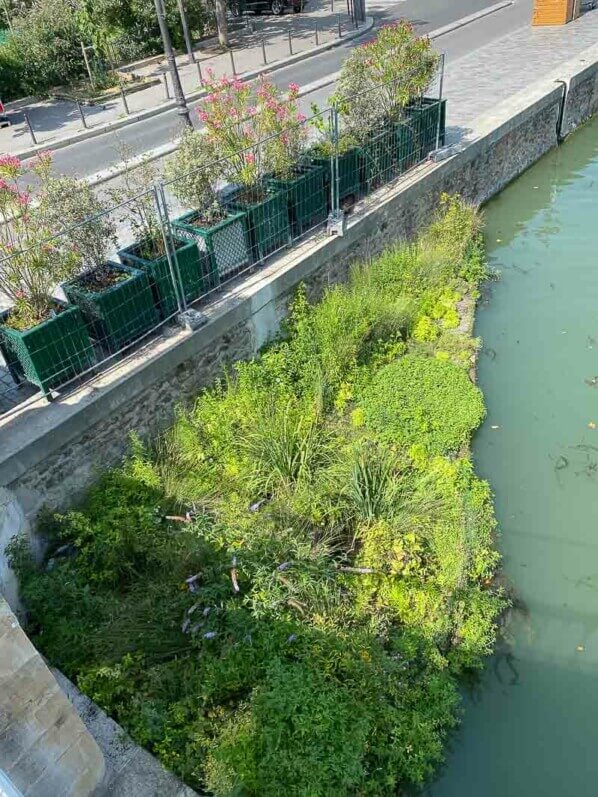 Radeau végétalisé dans le deuxième bassin du Bassin de la Villette, Paris 19ème (75)