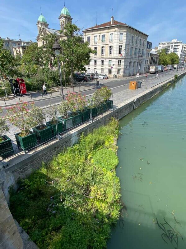 Radeau végétalisé dans le deuxième bassin du Bassin de la Villette, Paris 19ème (75)
