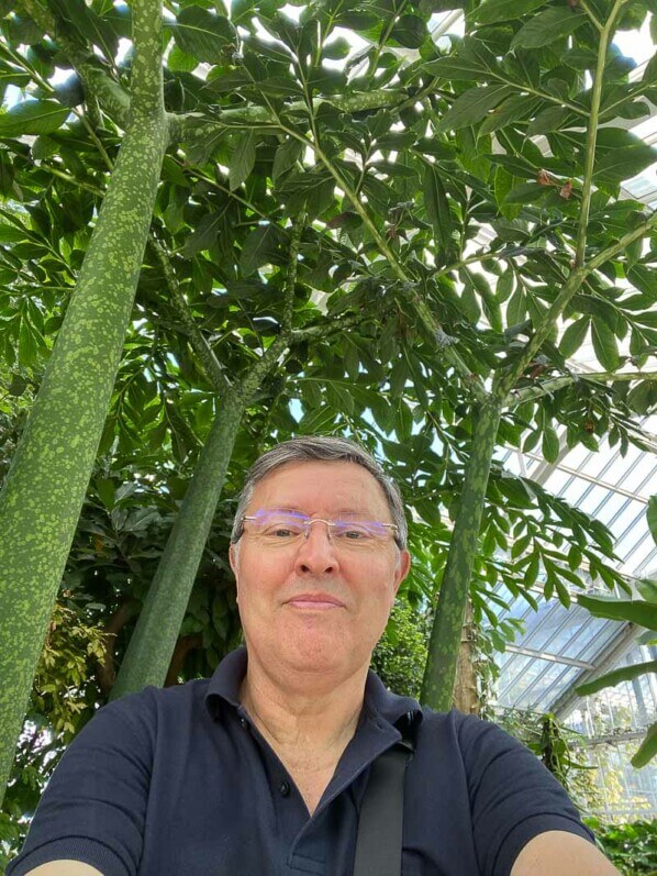 Amorphophallus titanum en été dans le jardin botanique, Meise, Belgique