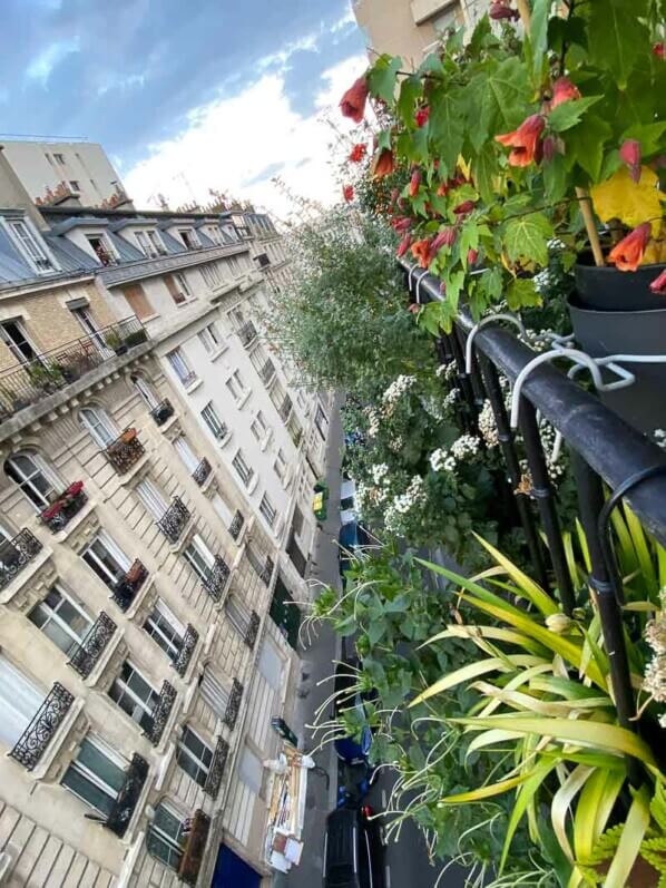 En été sur mon balcon parisien, Paris 19e (75)