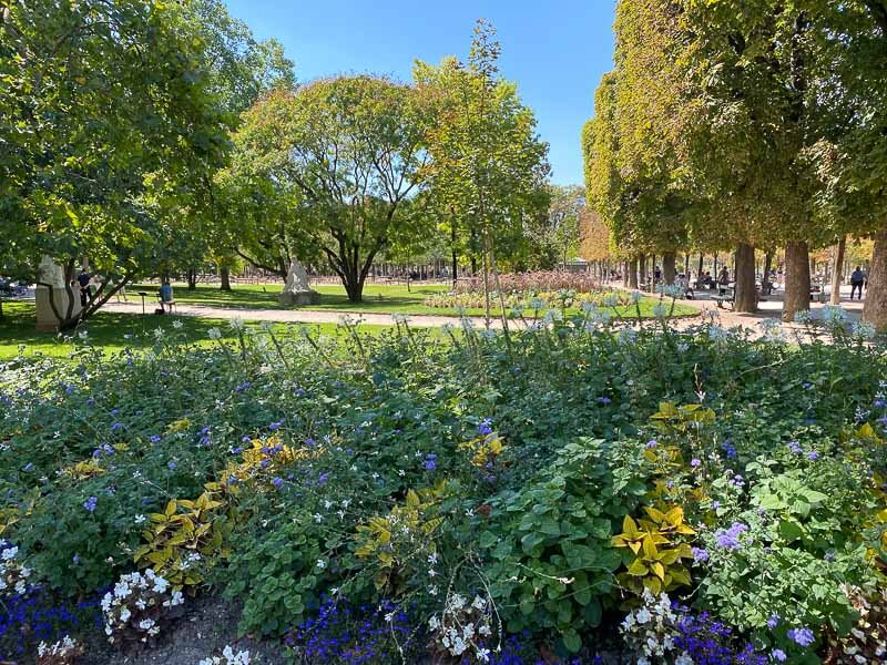 En été dans le Jardin du Luxembourg, Sénat, Paris 6e (75)