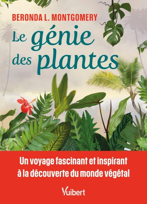 Lire la suite à propos de l’article Le génie des plantes