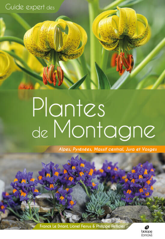 Lire la suite à propos de l’article Plantes de Montagne Alpes, Pyrénées, Massif central, Jura et Vosges