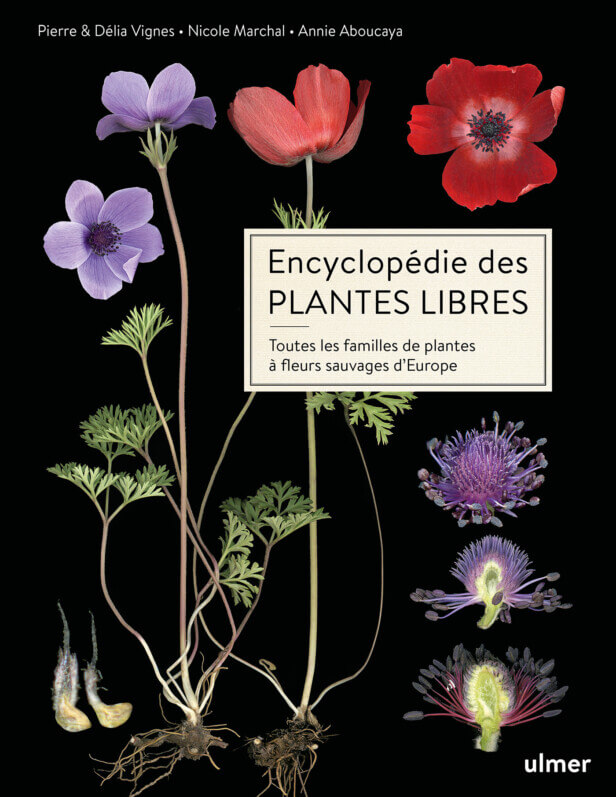 Lire la suite à propos de l’article Encyclopédie des plantes libres