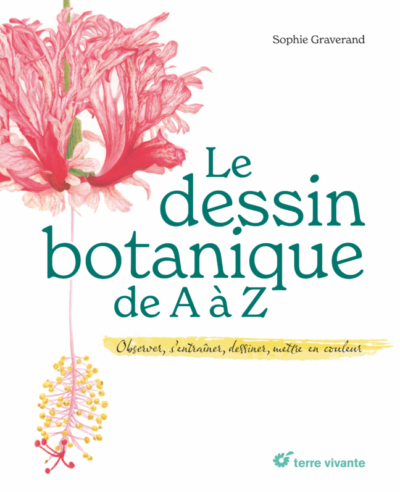 Le dessin botanique de A à Z
Observer, s’entraîner, dessiner, mettre en couleurs
Sophie Graverand, Éditions Terre Vivante, novembre 2022