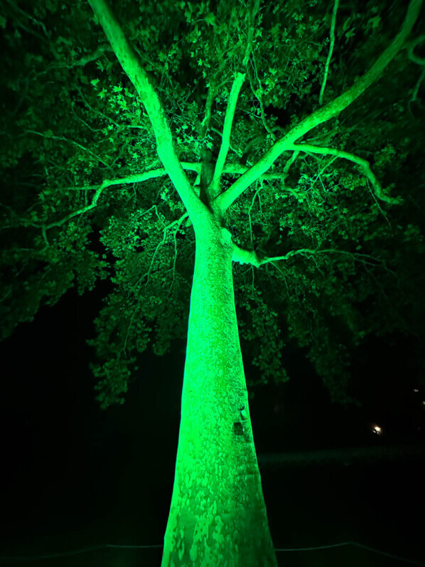 Mini-Mondes en voie d'Illumination, Jardin des Plantes, Paris 5e (75)