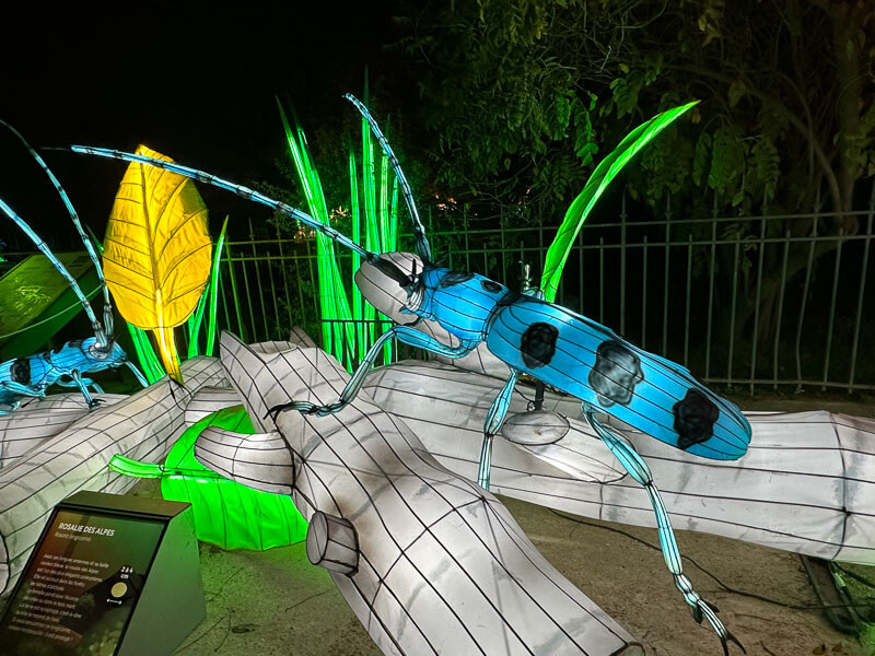 Mini-Mondes en voie d'Illumination, Jardin des Plantes, Paris 5e (75)