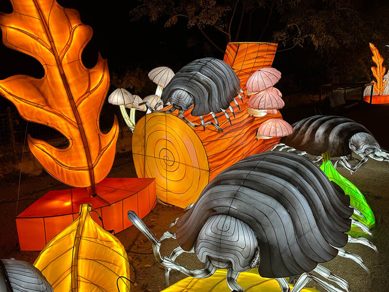 Mini-Mondes en voie d'Illumination, Jardin des Plantes, Paris 5e (75)
